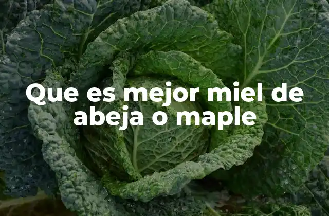 Diferencias nutricionales entre miel de abeja y jarabe de arce
