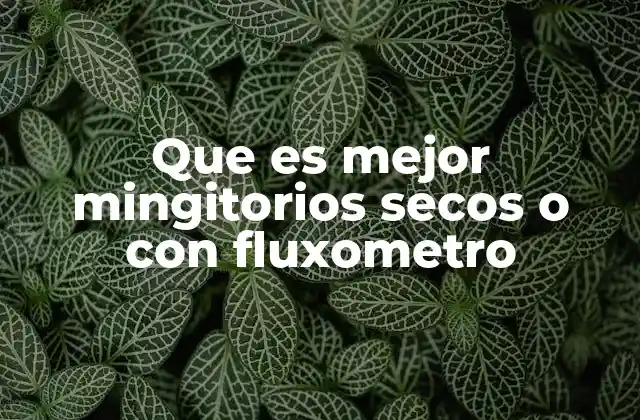 Que es Mejor Mingitorios Secos o con Fluxometro
