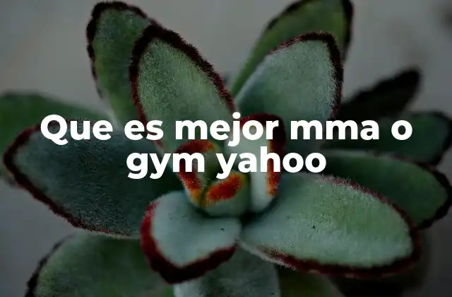 Que es Mejor Mma o Gym Yahoo
