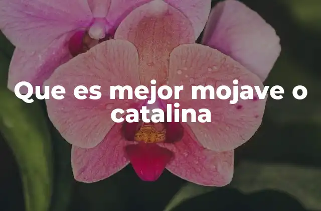 Que es Mejor Mojave o Catalina
