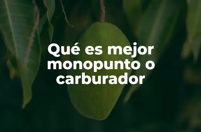 Qué es Mejor Monopunto o Carburador