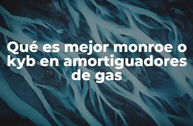 Qué es Mejor Monroe o Kyb en Amortiguadores de Gas