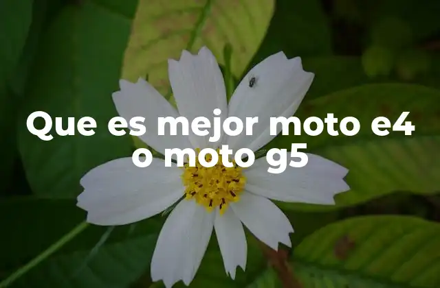 Que es Mejor Moto E4 o Moto G5