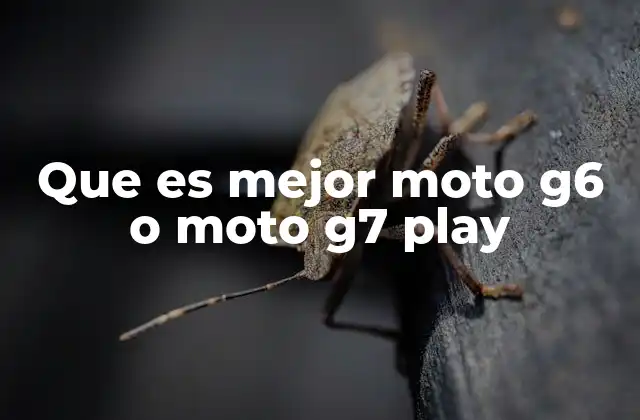 Que es Mejor Moto G6 o Moto G7 Play