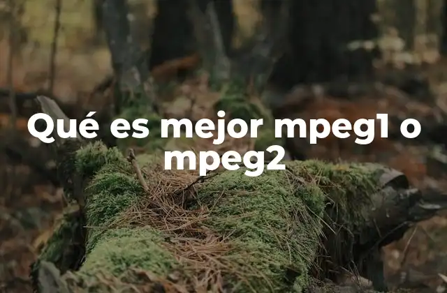 Qué es Mejor Mpeg1 o Mpeg2