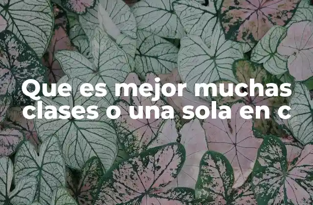 Que es Mejor Muchas Clases o una Sola en C 2 La importancia de la modularidad en la programación estructurada