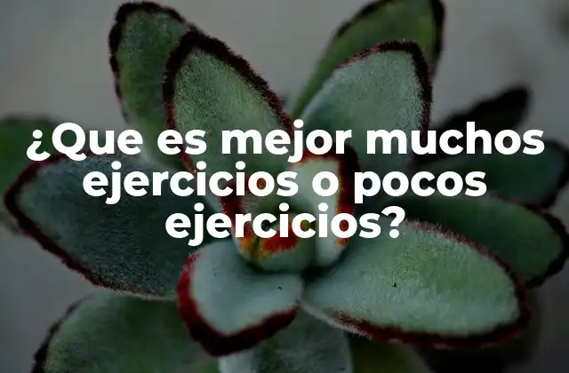 ¿que es Mejor Muchos Ejercicios o Pocos Ejercicios?