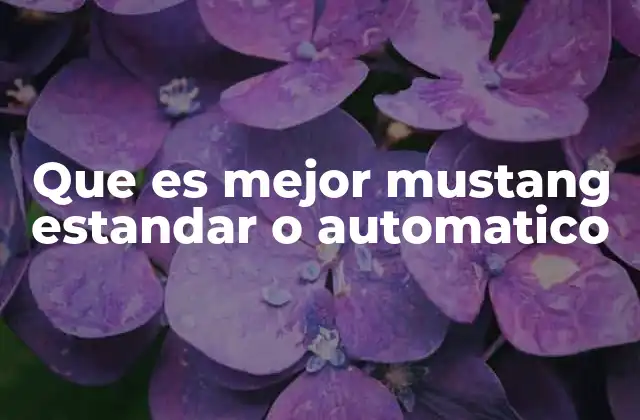 Que es Mejor Mustang Estandar o Automatico