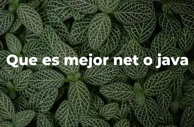 Ventajas y desventajas de .NET y Java