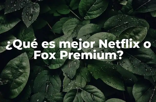 ¿qué es Mejor Netflix o Fox Premium?