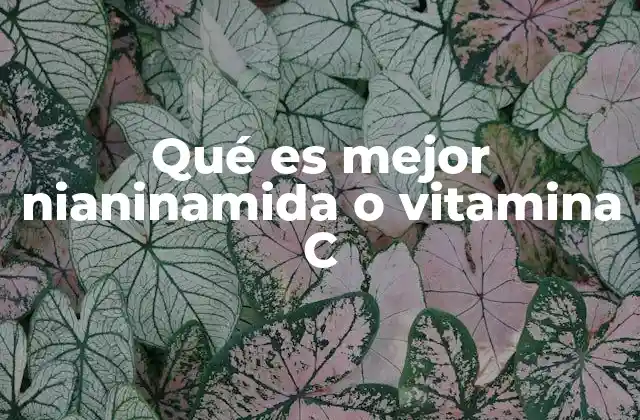 Diferencias entre ingredientes clave en la rutina de cuidado de la piel