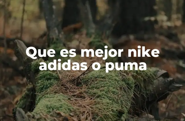 Que es Mejor Nike Adidas o Puma