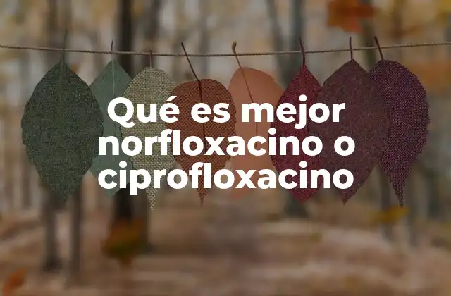 Qué es Mejor Norfloxacino o Ciprofloxacino