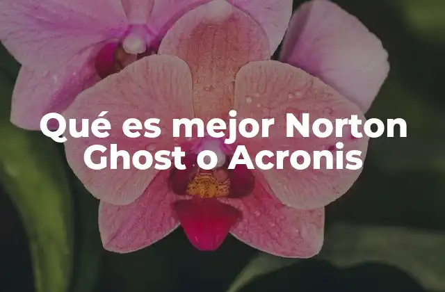 Ventajas y desventajas de las herramientas de clonación