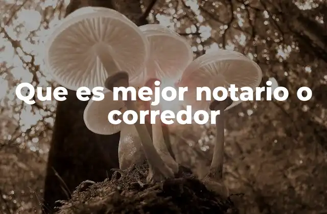 Que es Mejor Notario o Corredor