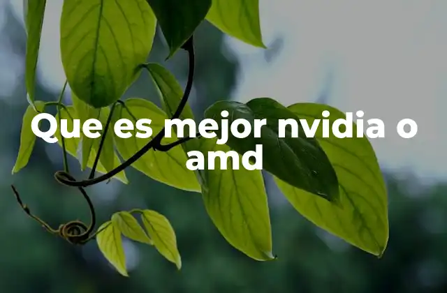 Que es Mejor Nvidia o Amd