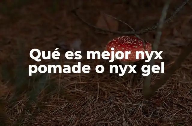 Qué es Mejor Nyx Pomade o Nyx Gel