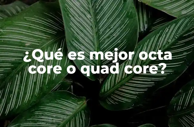 ¿qué es Mejor Octa Core o Quad Core?