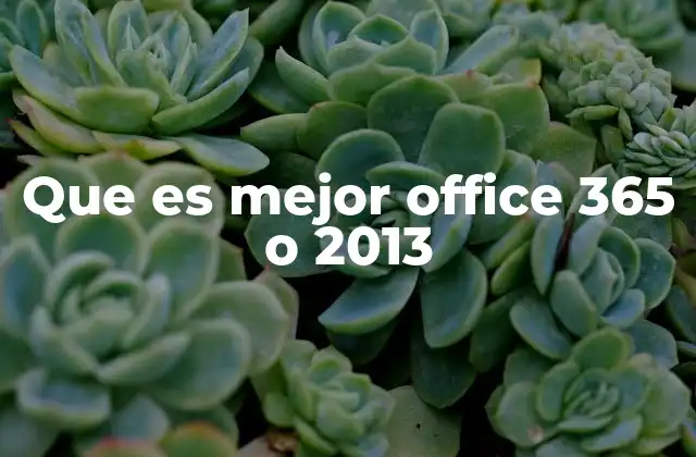 Que es Mejor Office 365 o 2013