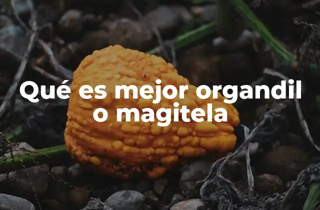 Qué es Mejor Organdil o Magitela
