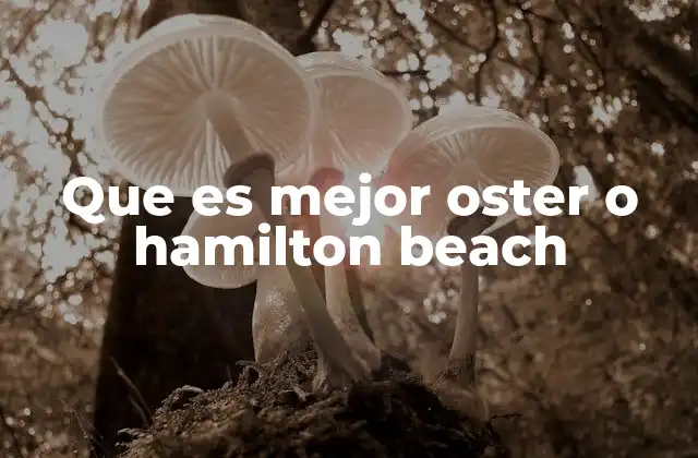 Que es Mejor Oster o Hamilton Beach