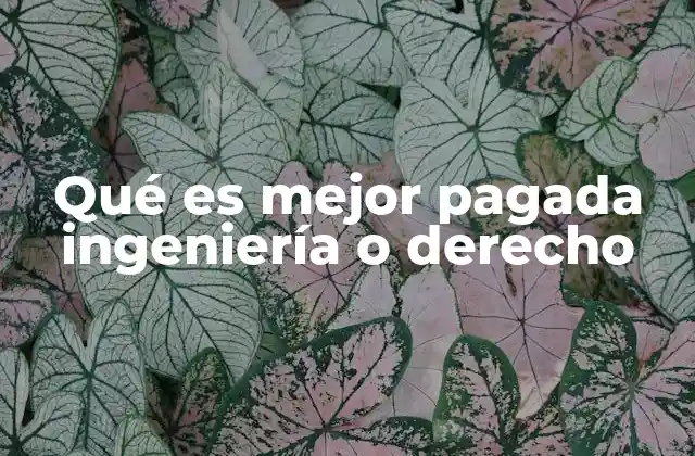 Qué es Mejor Pagada Ingeniería o Derecho 2 Comparando ingresos entre profesiones técnicas y profesiones de servicios