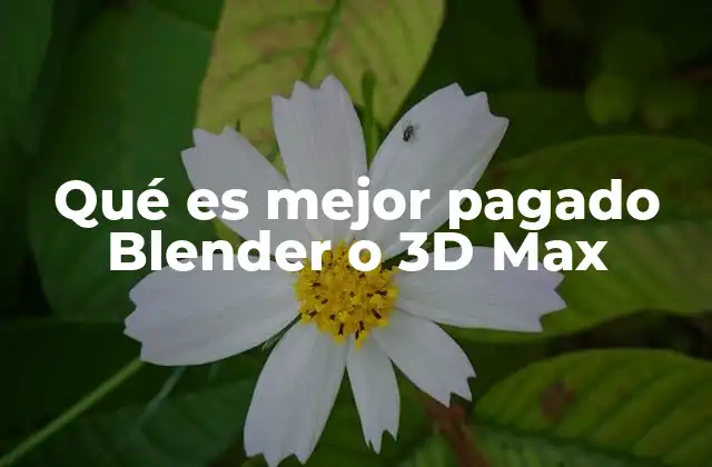 Qué es Mejor Pagado Blender o 3d Max