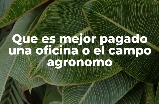 Que es Mejor Pagado una Oficina o el Campo Agronomo