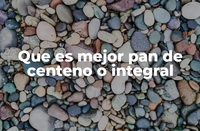 Que es Mejor Pan de Centeno o Integral