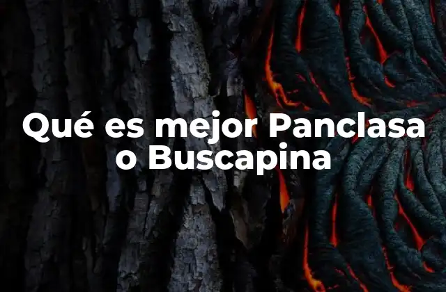 Qué es Mejor Panclasa o Buscapina