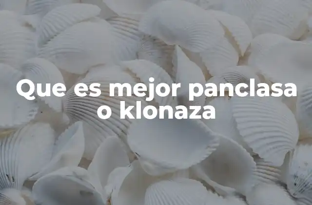 Que es Mejor Panclasa o Klonaza