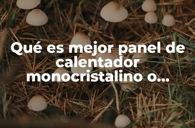 Qué es Mejor Panel de Calentador Monocristalino o Policristalino