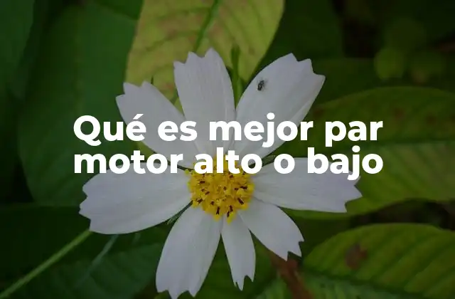 Qué es Mejor Par Motor Alto o bajo