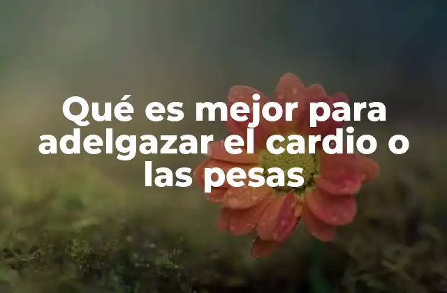 Qué es Mejor para Adelgazar el Cardio o las Pesas