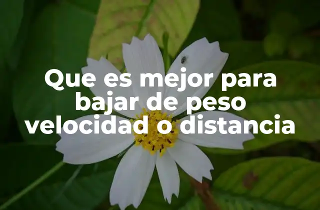 Que es Mejor para Bajar de Peso Velocidad o Distancia