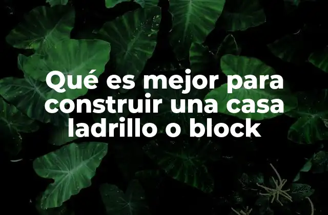 Qué es Mejor para Construir una Casa Ladrillo o Block
