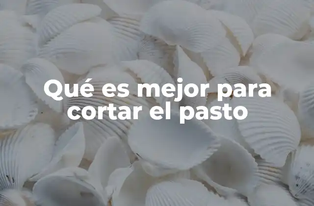 Qué es Mejor para Cortar el Pasto
