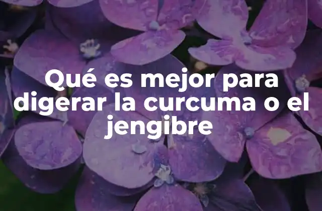 Qué es Mejor para Digerar la Curcuma o el Jengibre