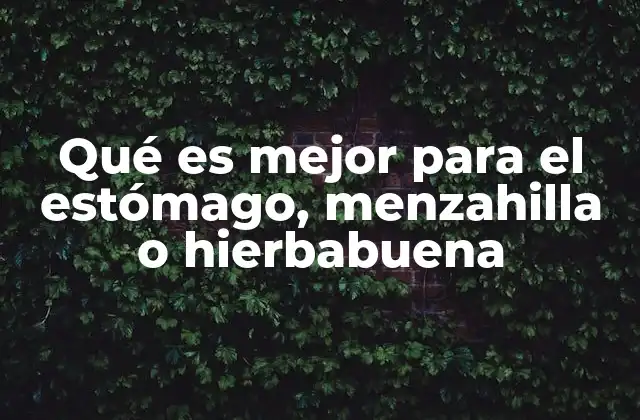 Menzahilla vs hierbabuena: ¿cuál es más adecuada para aliviar el malestar digestivo?