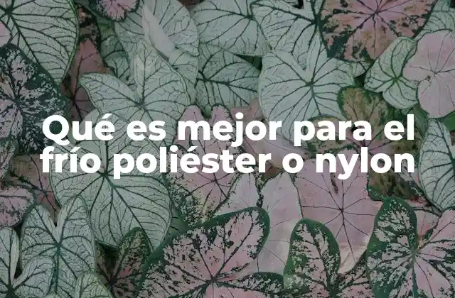 Qué es Mejor para el Frío Poliéster o Nylon