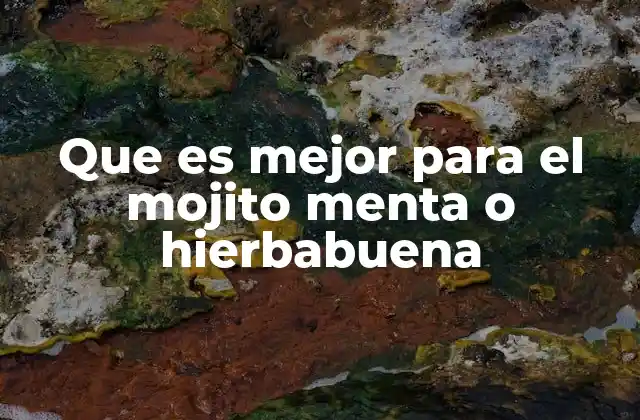 Que es Mejor para el Mojito Menta o Hierbabuena