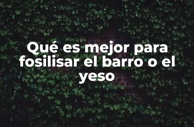 Qué es Mejor para Fosilisar el Barro o el Yeso