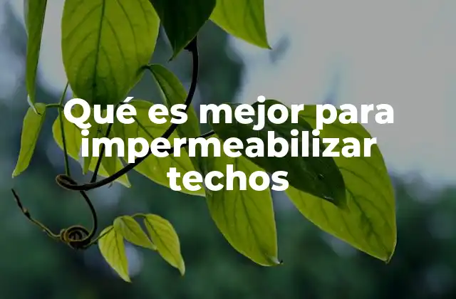 Qué es Mejor para Impermeabilizar Techos