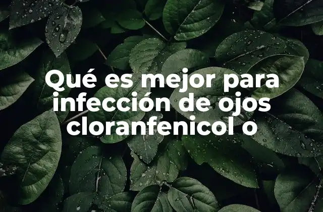 Qué es Mejor para Infección de Ojos Cloranfenicol o