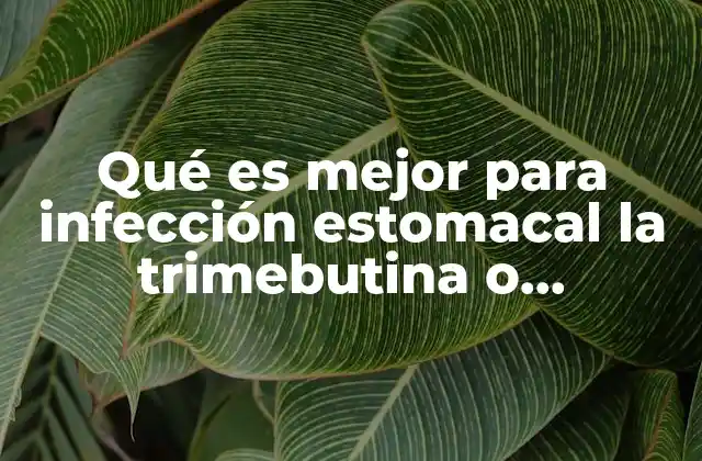 Qué es Mejor para Infección Estomacal la Trimebutina o Butilhioscina