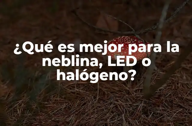 ¿qué es Mejor para la Neblina, Led o Halógeno?