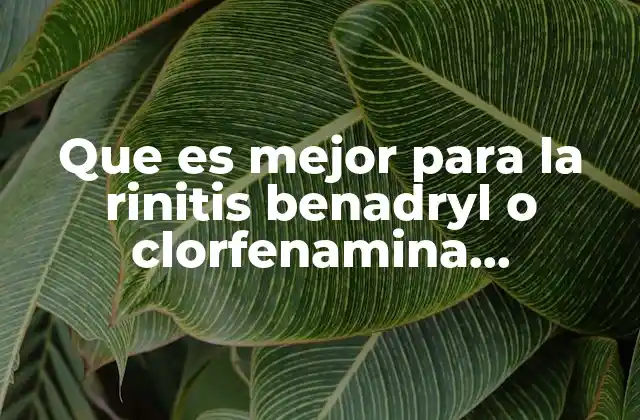Que es Mejor para la Rinitis Benadryl o Clorfenamina Compuesta