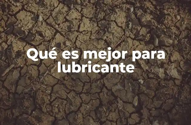 Qué es Mejor para Lubricante