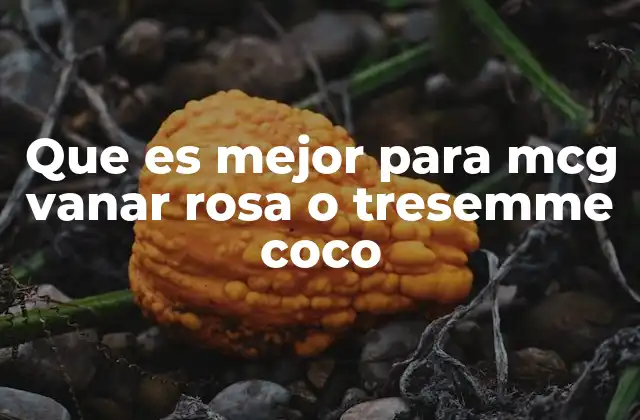 Comparando las opciones capilares sin mencionar directamente las marcas