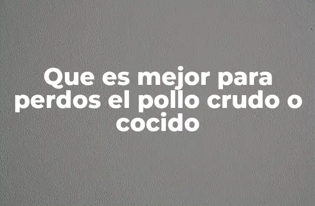 La importancia de la dieta canina y la elección de proteínas